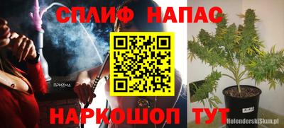 a pvp Ачхой-Мартан