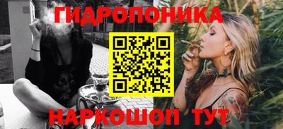 a pvp Ачхой-Мартан