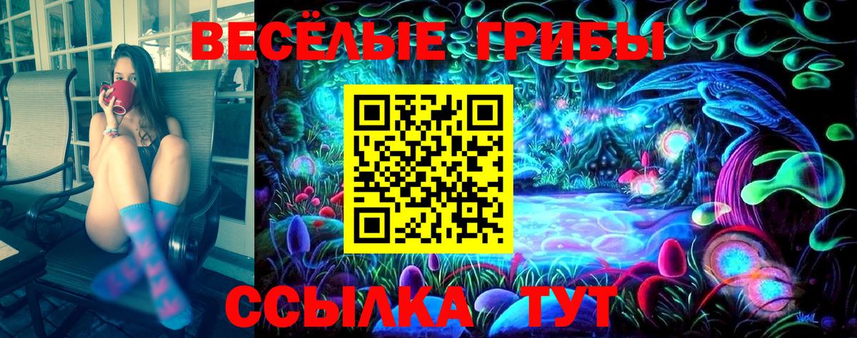 Каменка  Галлюциногенные грибы мицелий  Вход с VPN 